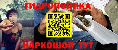 гашик Волжский
