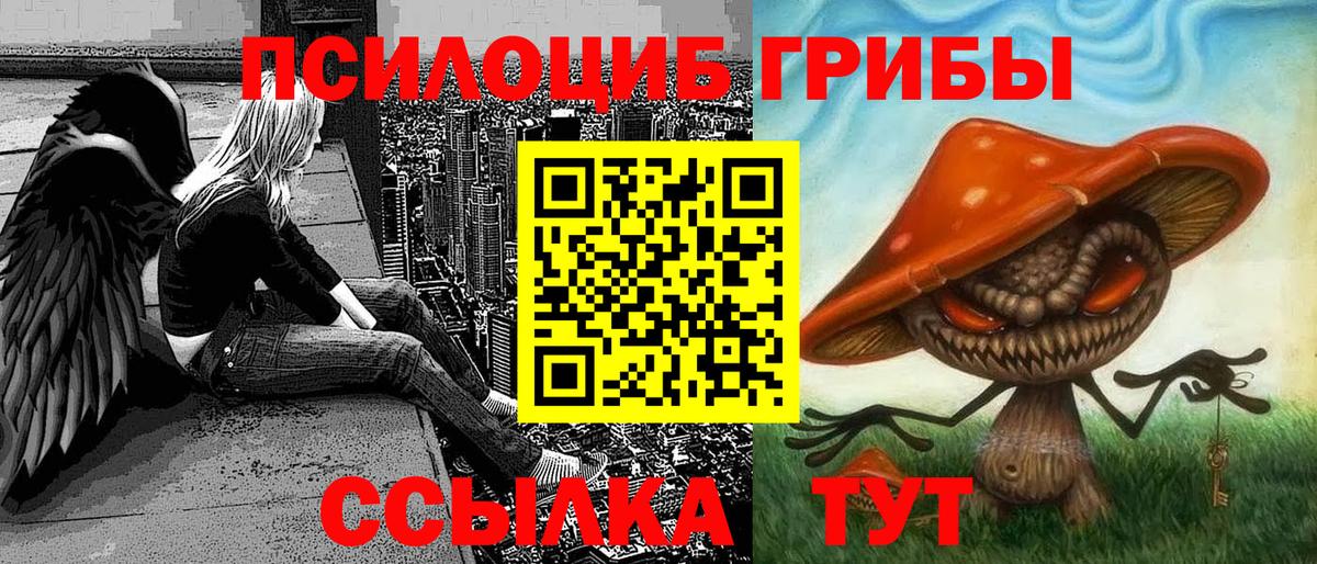 наркотики  Вход с VPN  Миллерово  Галлюциногенные грибы Cubensis  Псилоцибиновые грибы Cubensis 