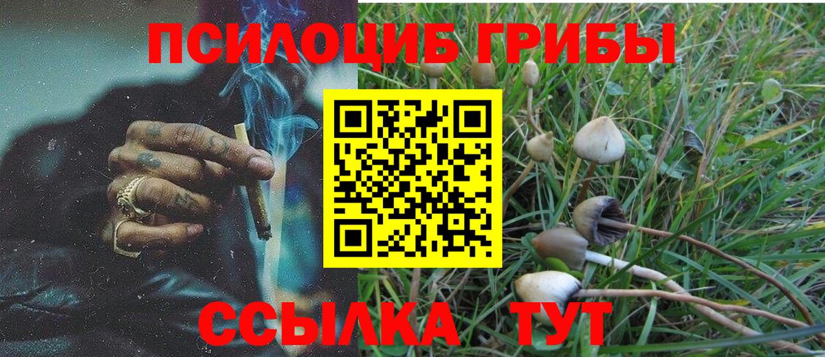 Галлюциногенные грибы Cubensis Миллерово